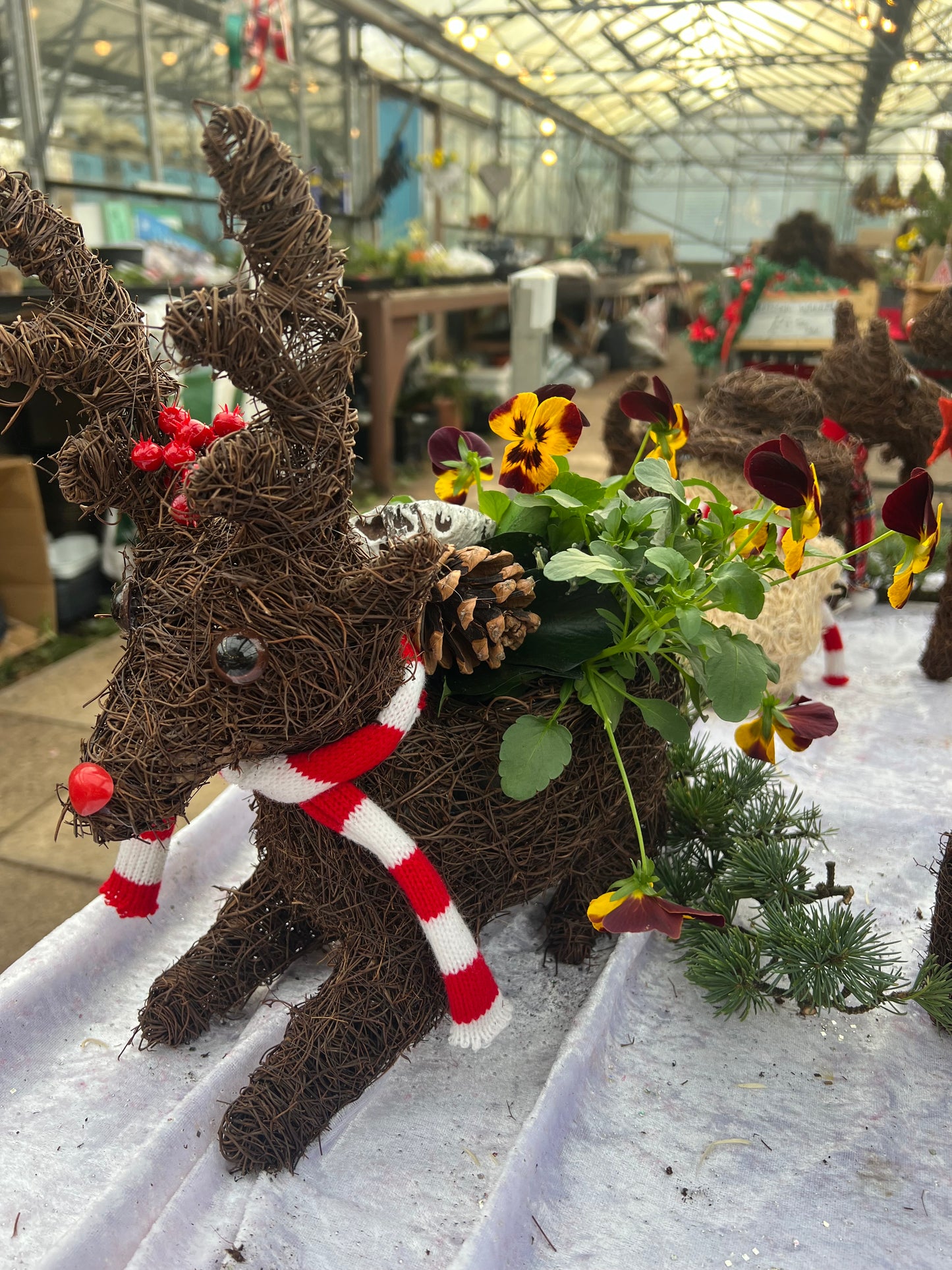 Wicker planted lying reindeer