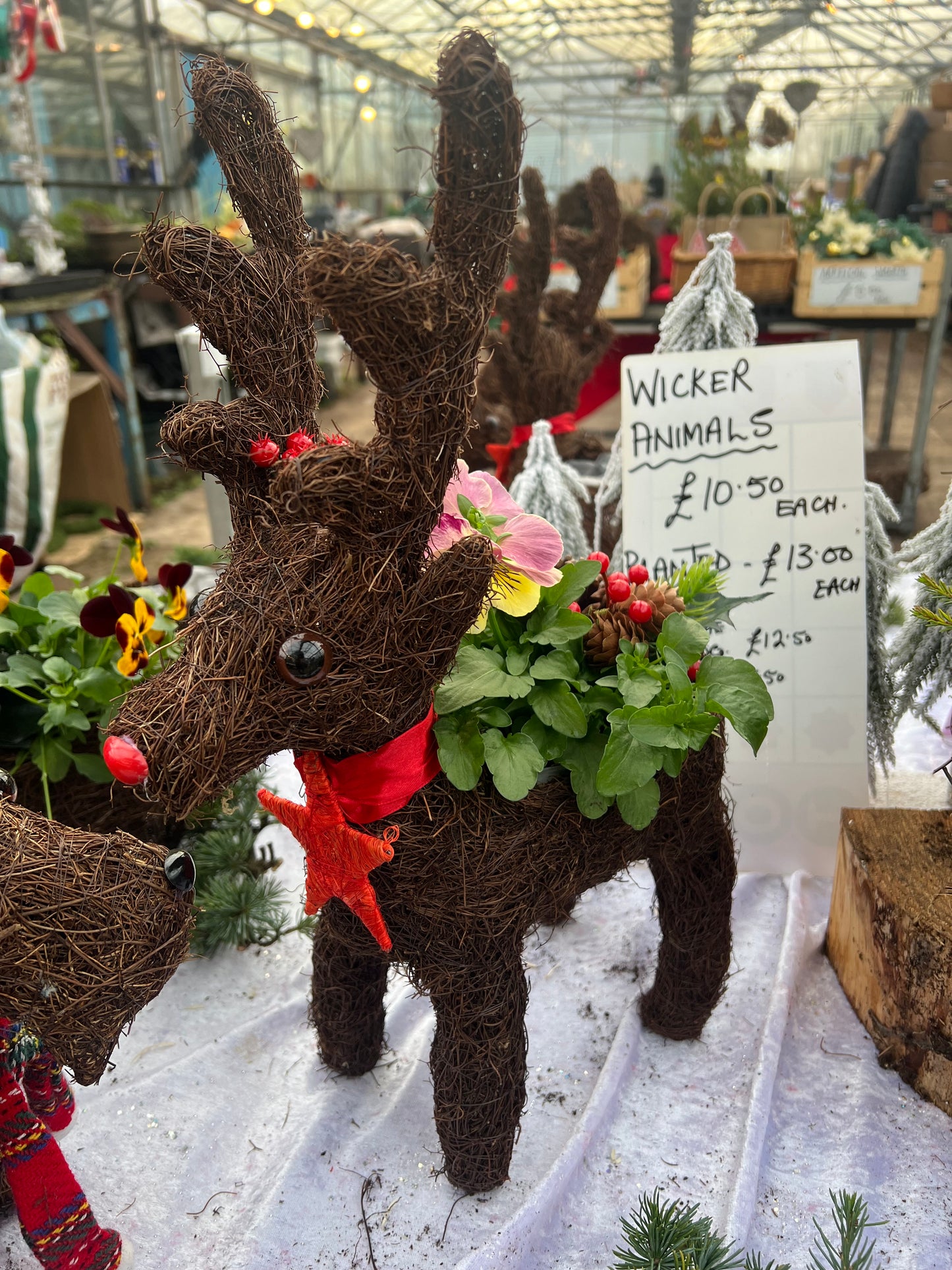 Wicker planted reindeer