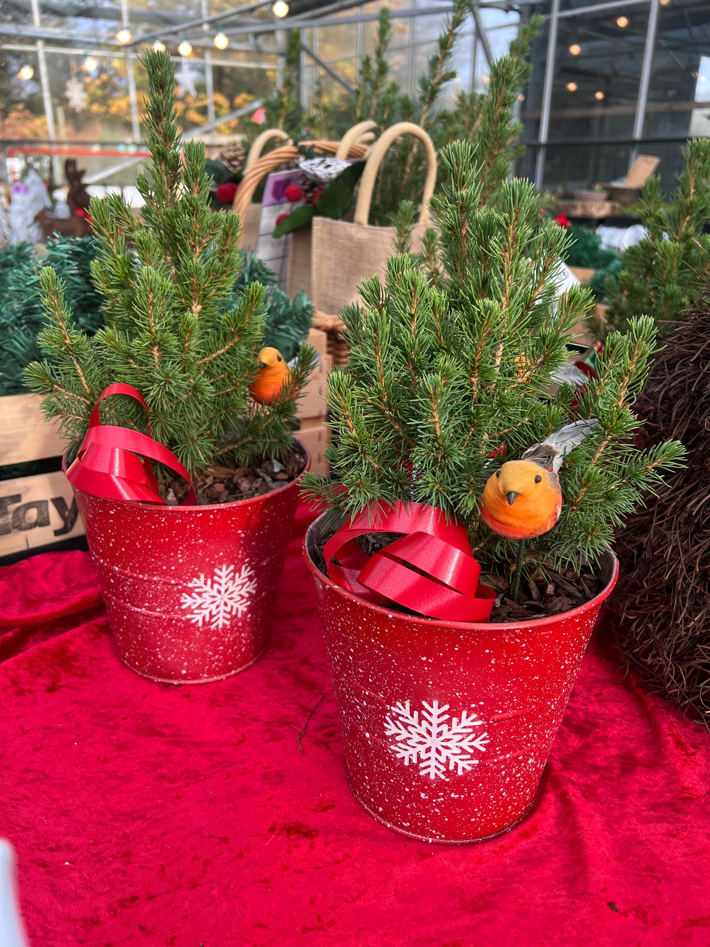 Christmas tree pot